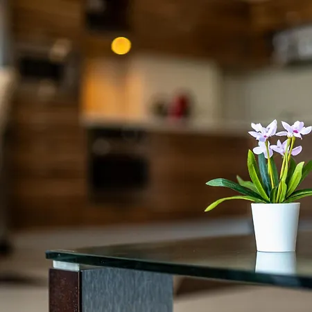 Daire Luxury 2 Bedroom With Sea View Varna